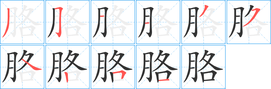 胳字的笔顺笔画分步演示