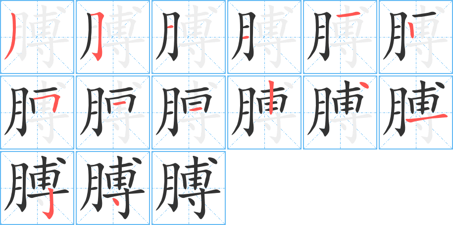 膊字的笔顺笔画分步演示
