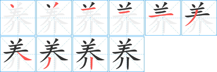 养字的笔顺笔画分步演示
