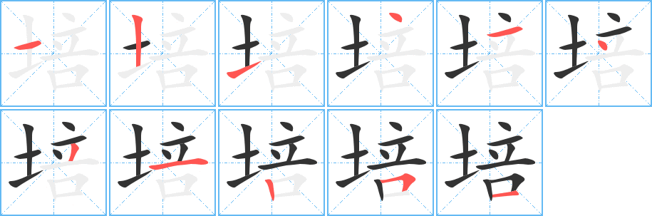 培字的笔顺笔画分步演示