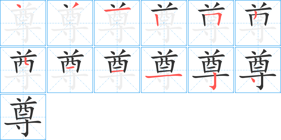 尊字的笔顺笔画分步演示