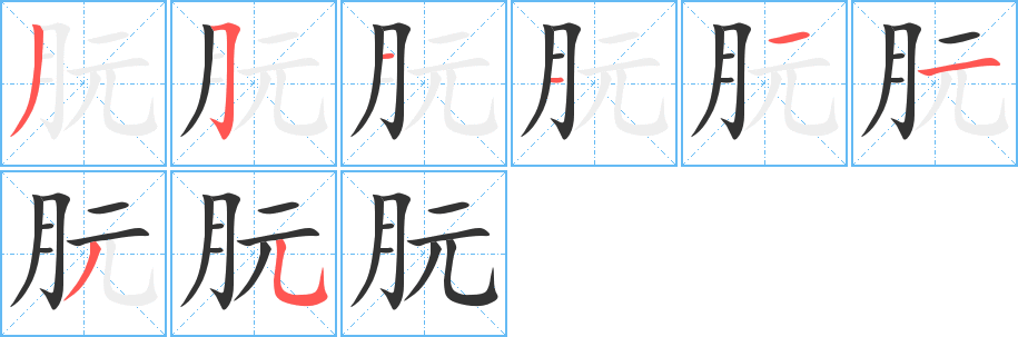朊字的笔顺笔画分步演示