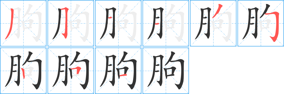 朐字的笔顺笔画分步演示
