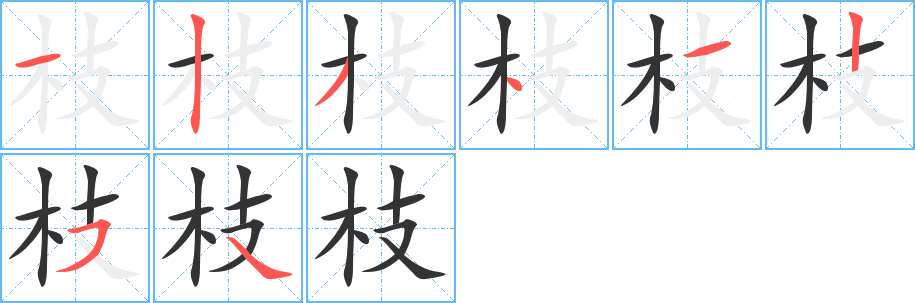 枝字的笔顺笔画分步演示