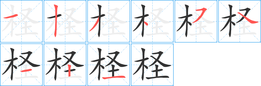 柽字的笔顺笔画分步演示