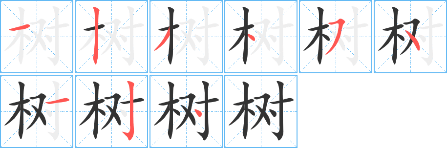 树字的笔顺笔画分步演示