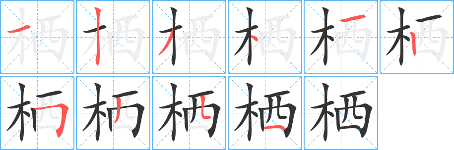 栖字的笔顺笔画分步演示
