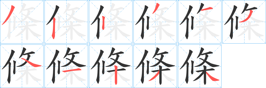 條字的笔顺笔画分步演示