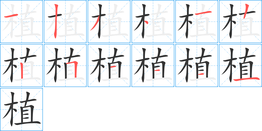 植字的笔顺笔画分步演示