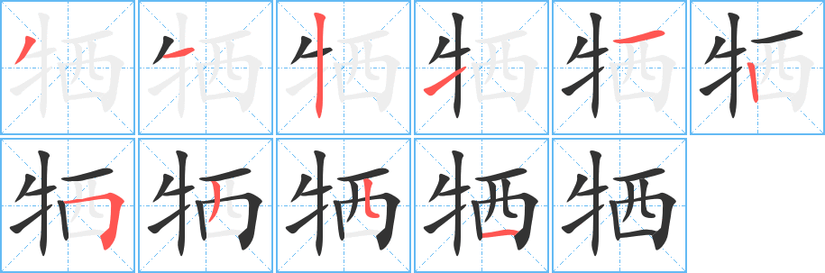 牺字的笔顺笔画分步演示