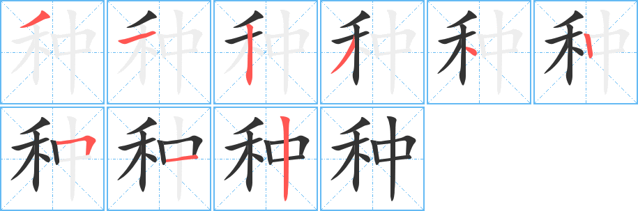种字的笔顺笔画分步演示