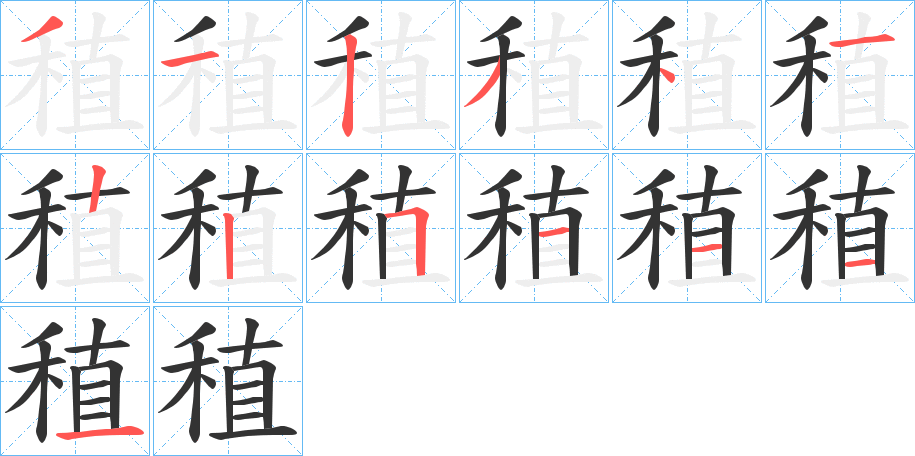 稙字的笔顺笔画分步演示