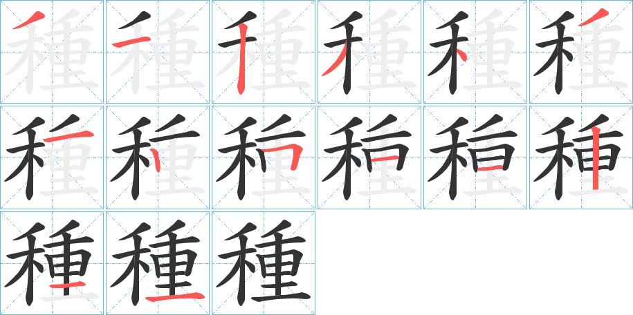 種字的笔顺笔画分步演示