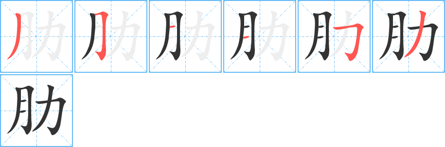 肋字的笔顺笔画分步演示