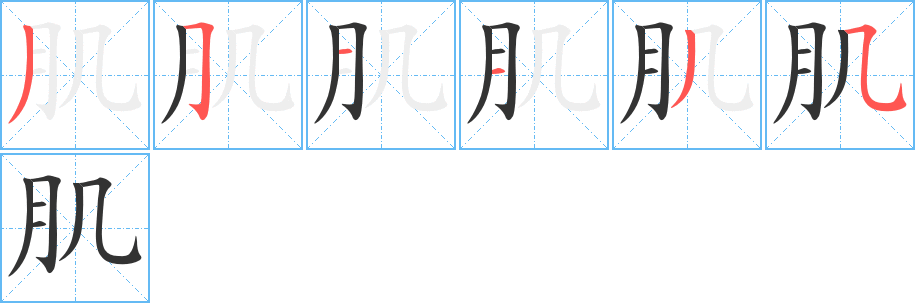 肌字的笔顺笔画分步演示