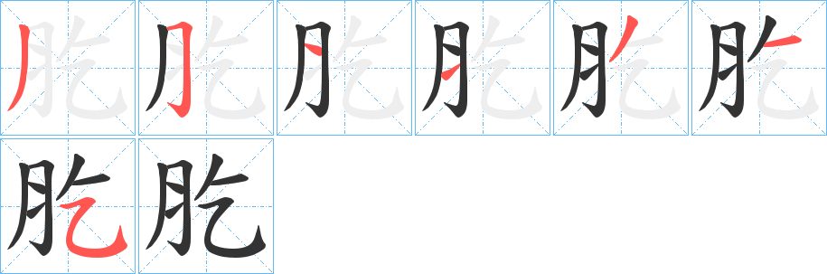 肐字的笔顺笔画分步演示