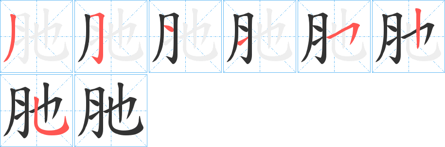 肔字的笔顺笔画分步演示