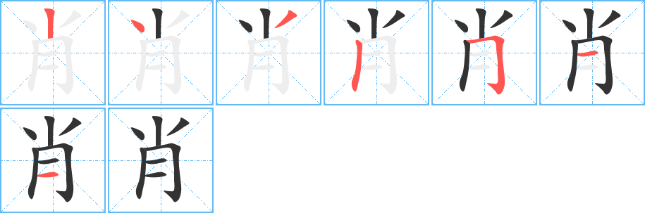 肖字的笔顺笔画分步演示