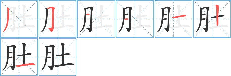 肚字的笔顺笔画分步演示