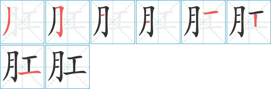 肛字的笔顺笔画分步演示