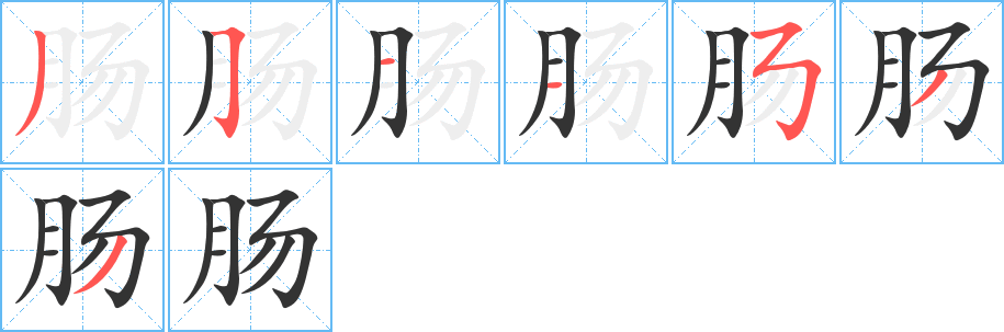 肠字的笔顺笔画分步演示
