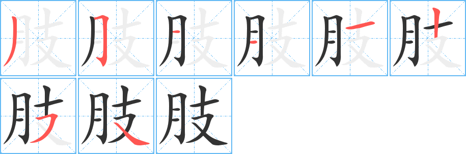 肢字的笔顺笔画分步演示