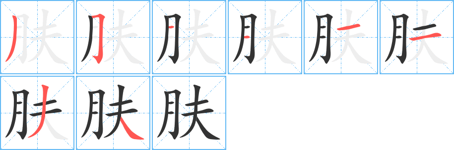 肤字的笔顺笔画分步演示