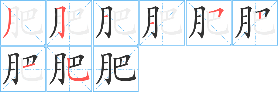 肥字的笔顺笔画分步演示