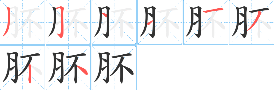 肧字的笔顺笔画分步演示