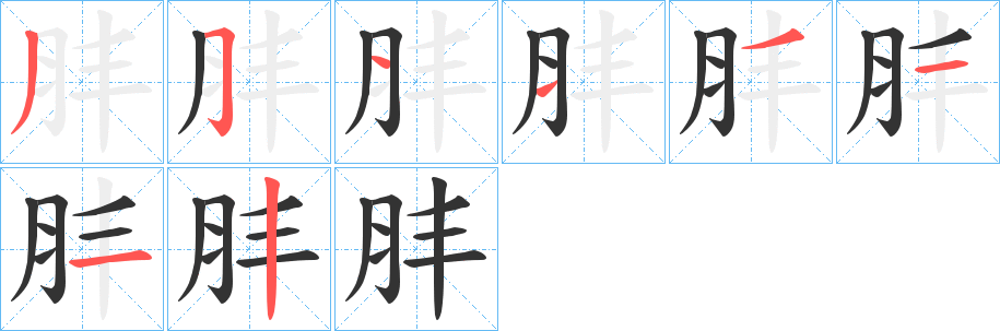 肨字的笔顺笔画分步演示