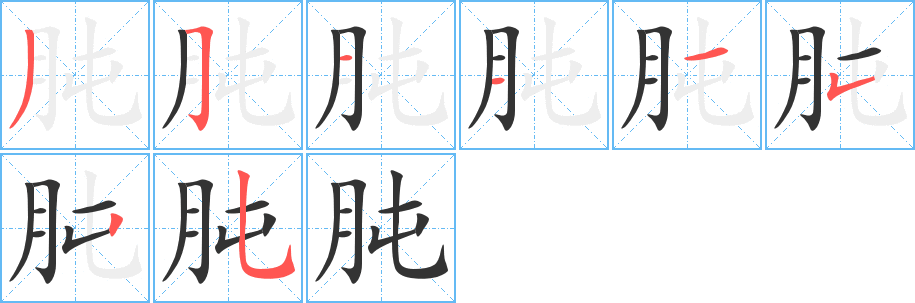 肫字的笔顺笔画分步演示