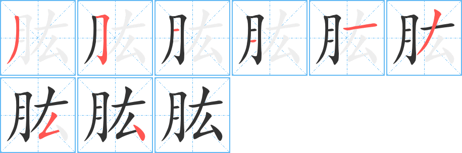 肱字的笔顺笔画分步演示