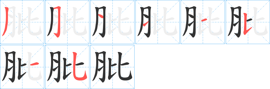 肶字的笔顺笔画分步演示