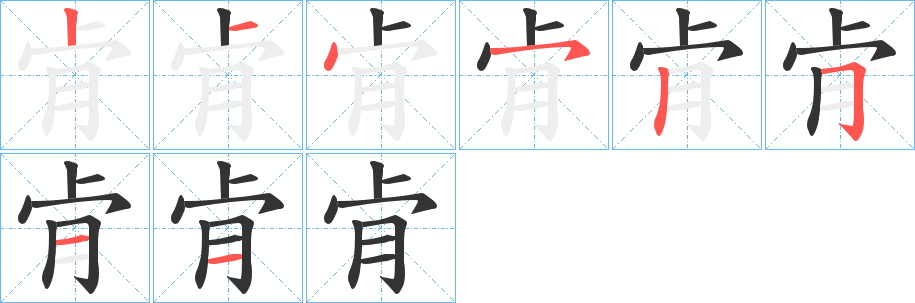 肻字的笔顺笔画分步演示