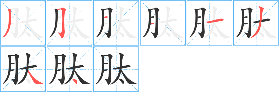 肽字的笔顺笔画分步演示