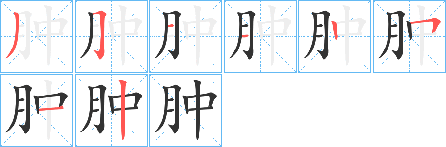 肿字的笔顺笔画分步演示
