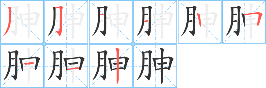 胂字的笔顺笔画分步演示