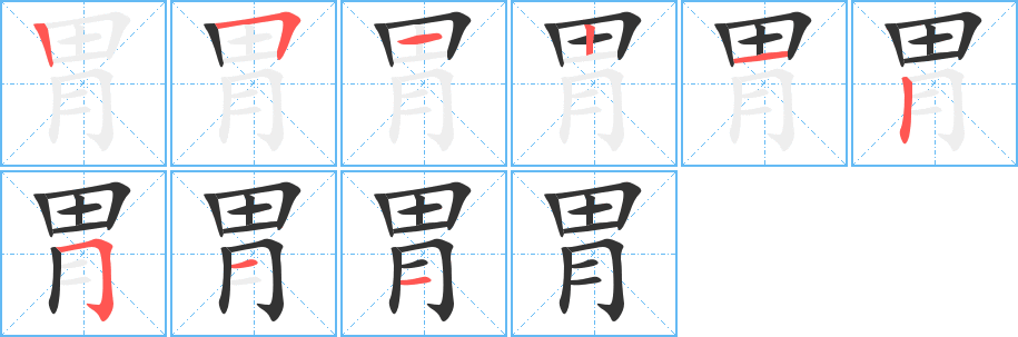 胃字的笔顺笔画分步演示