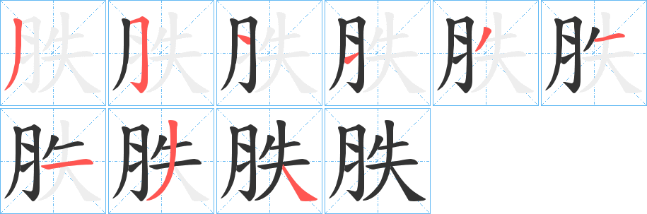 胅字的笔顺笔画分步演示