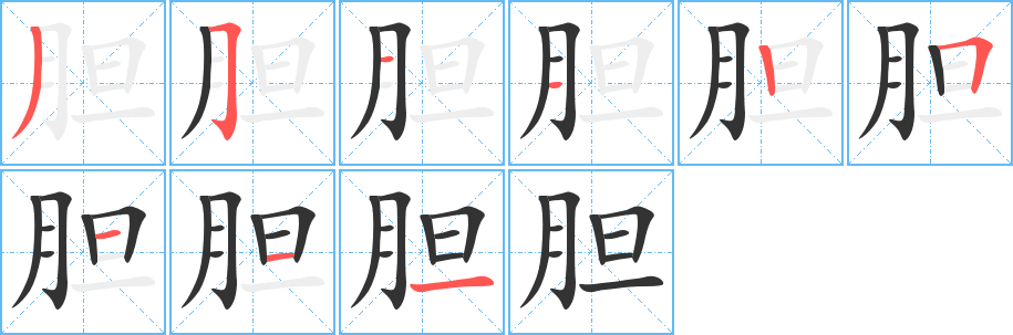 胆字的笔顺笔画分步演示