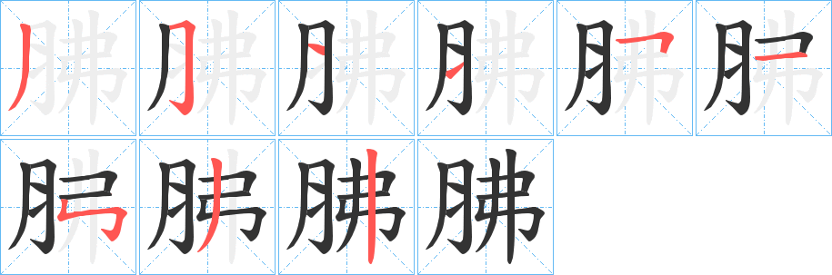 胇字的笔顺笔画分步演示