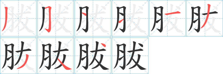 胈字的笔顺笔画分步演示