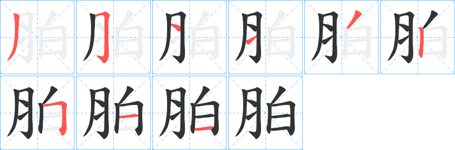 胉字的笔顺笔画分步演示