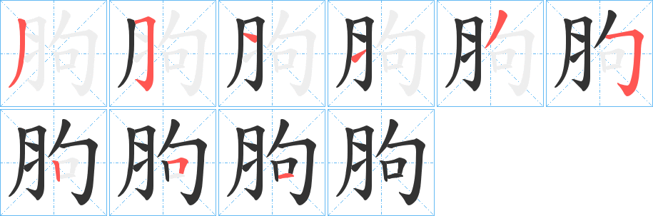 胊字的笔顺笔画分步演示