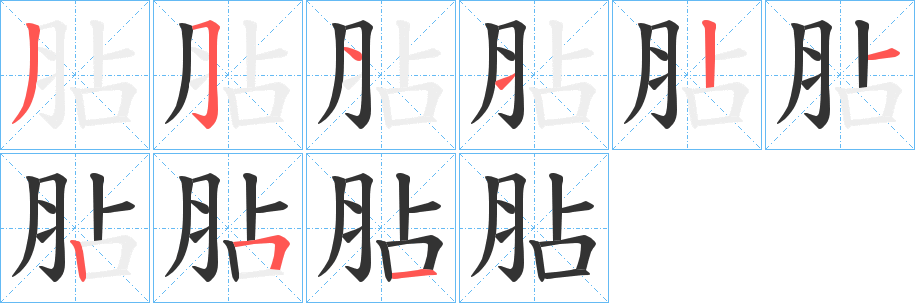 胋字的笔顺笔画分步演示