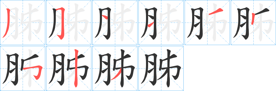 胏字的笔顺笔画分步演示