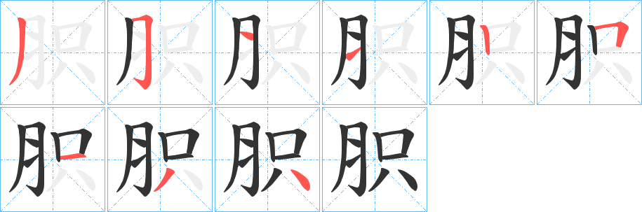 胑字的笔顺笔画分步演示