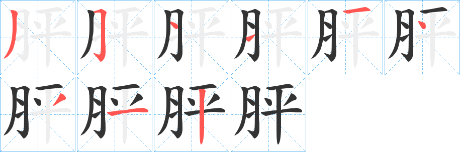 胓字的笔顺笔画分步演示