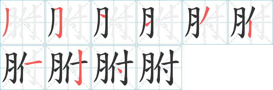 胕字的笔顺笔画分步演示