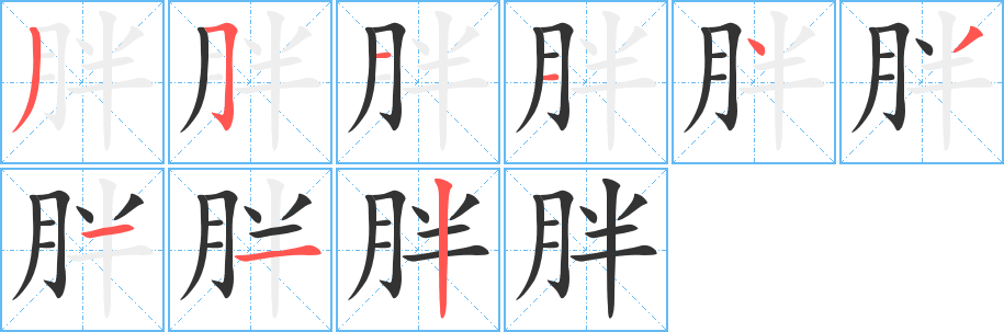 胖字的笔顺笔画分步演示